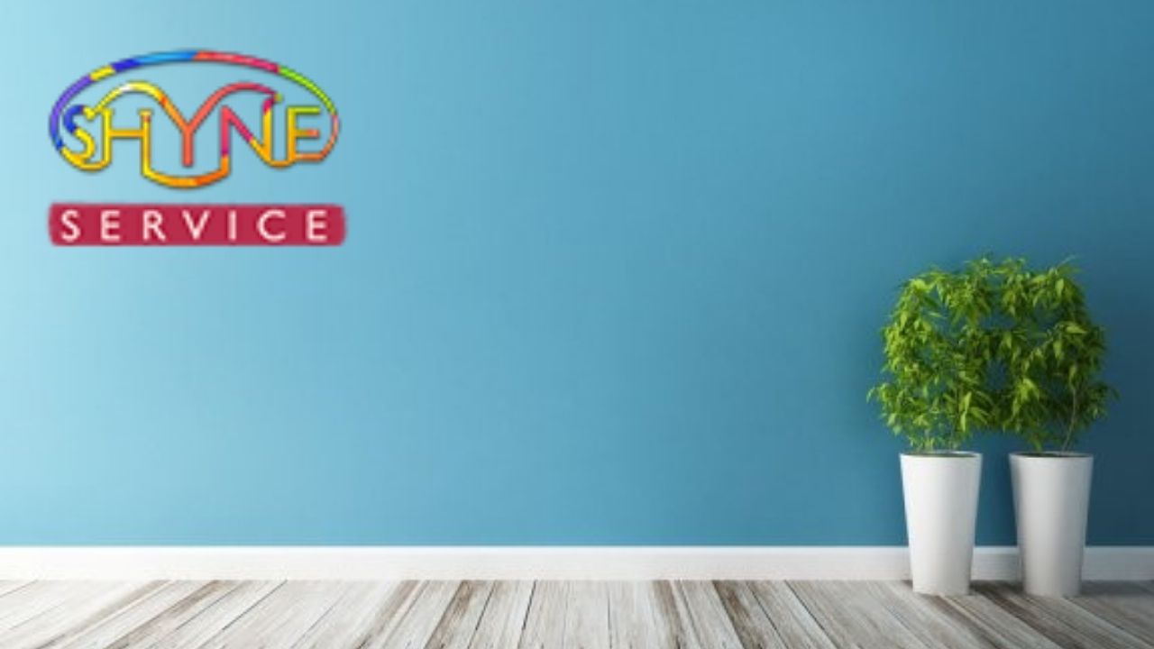 Home painting services in Nanal Nagar